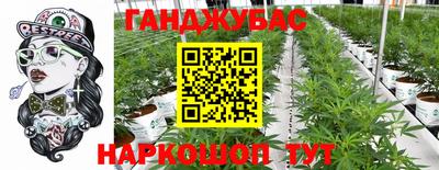 мдпв Мариинск