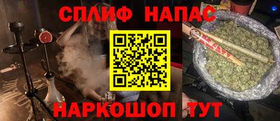сатива Малгобек