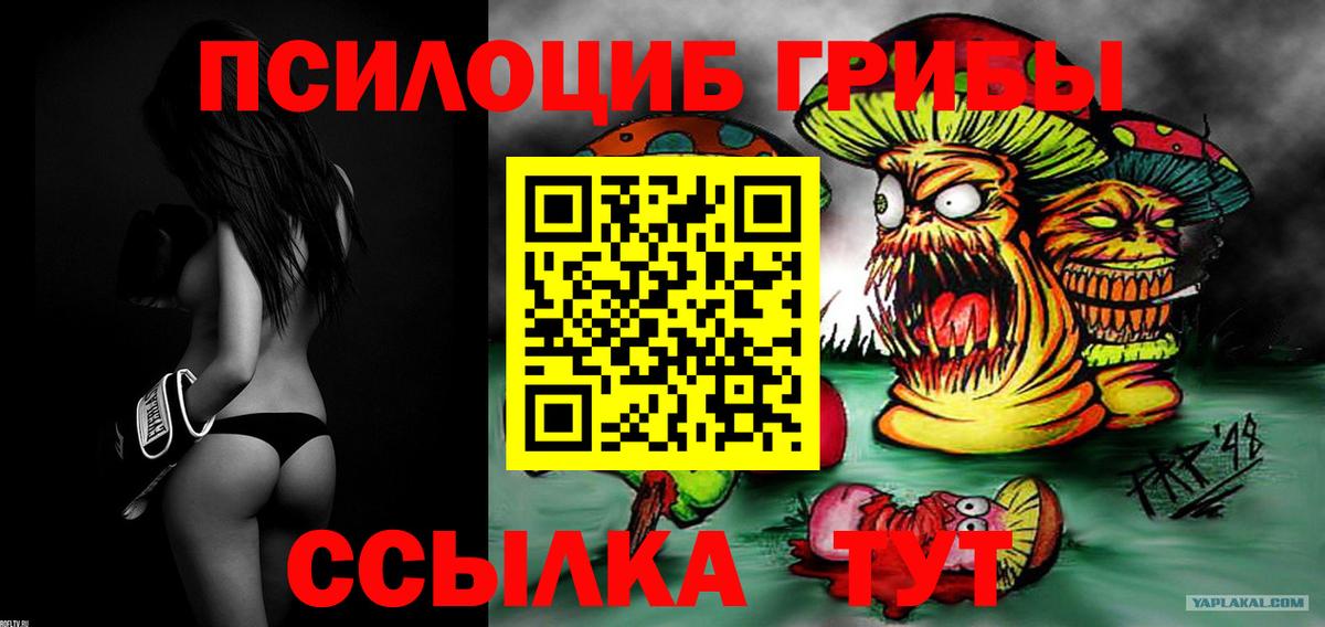 Галлюциногенные грибы Psilocybe  Вход с VPN  Энгельс 