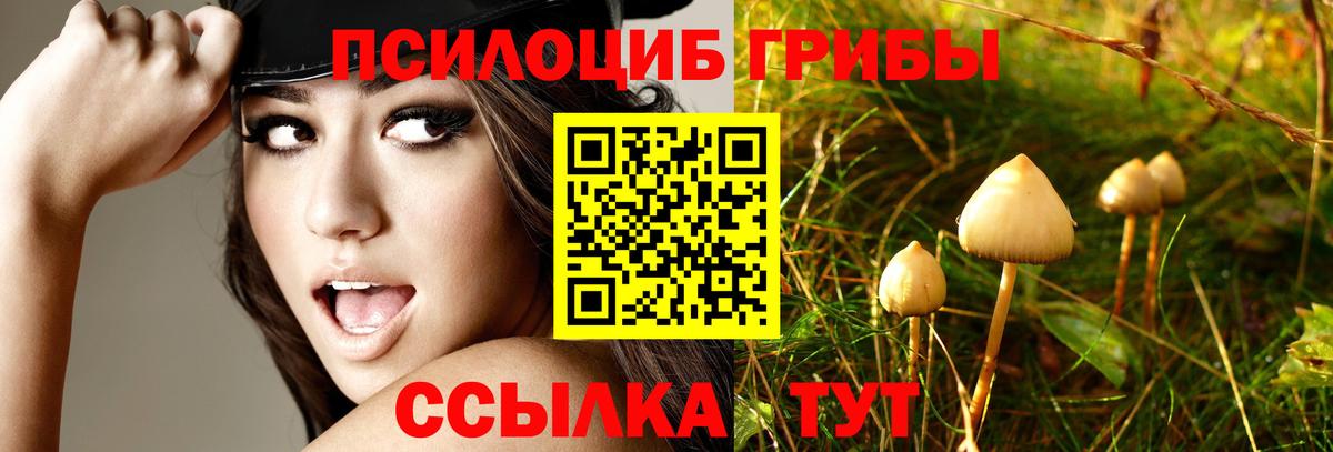 Галлюциногенные грибы мицелий Энгельс