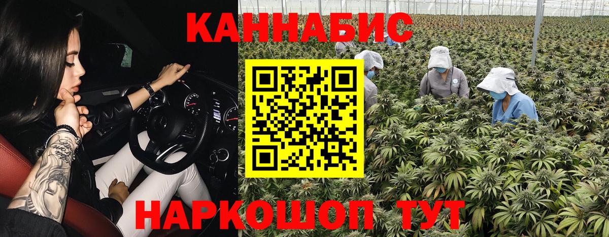 Канабис AK-47  Шишки марихуана SATIVA & INDICA  Энгельс  Конопля Amnesia  Вход с VPN 