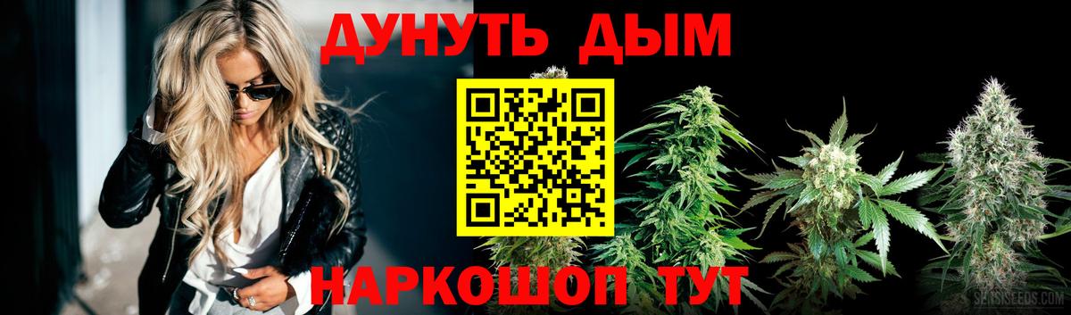 Канабис планчик Энгельс